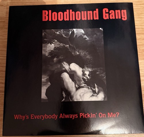 Bloodhound gang vinyl - gang,