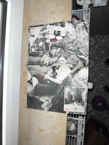 Gymnich poster mit angelo - gymnich,